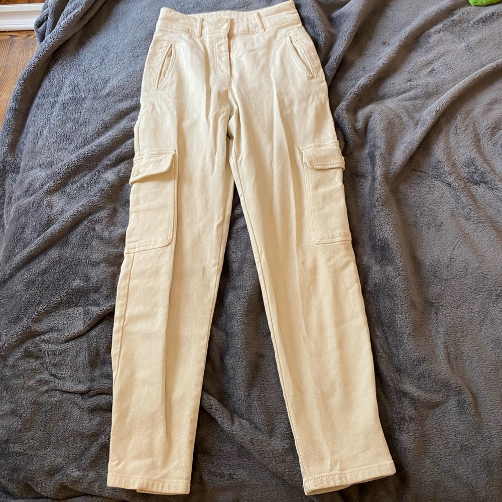 Aritzia Wilfred Cargo Pants